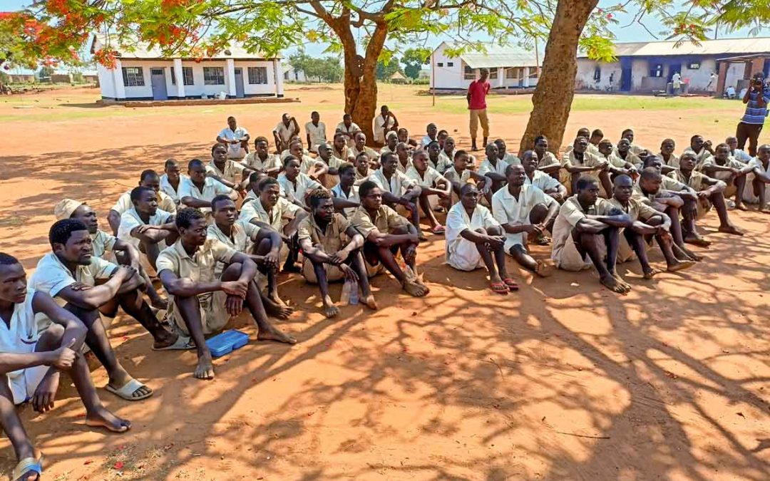 1152-prisionesdezomba-3 prisionesdezomba 3