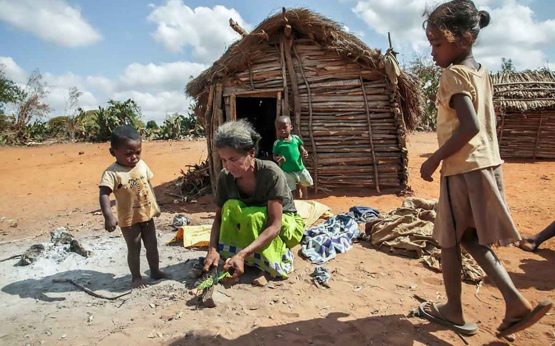 1154-plagasmadagascar-3 plagasmadagascar 3