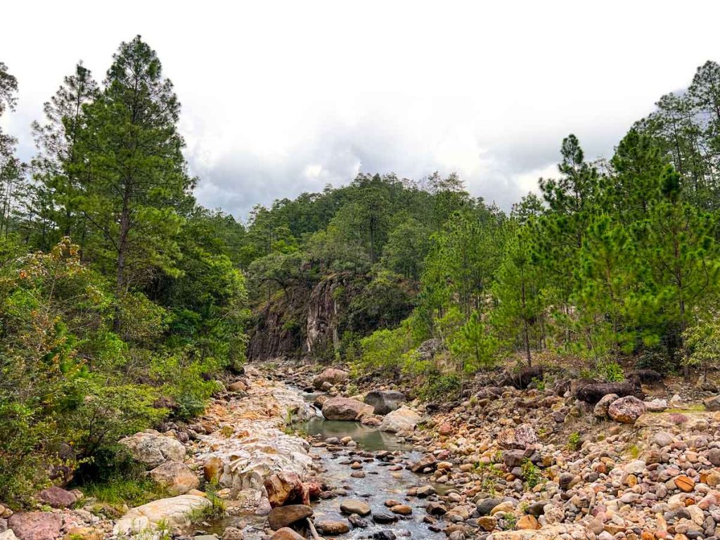 elpasodelseñorpornuestrasvidas 2
