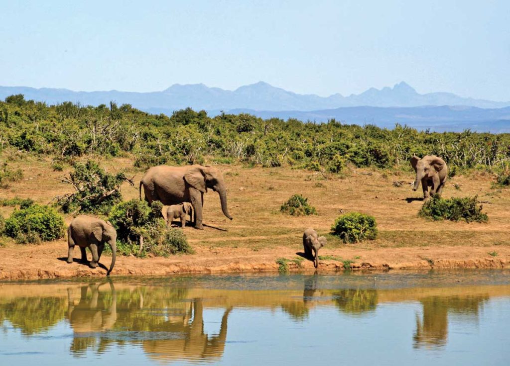 El-mar-y-los-lagos-alimentan-nuestra-población-3