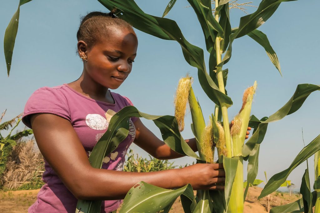 POTENCIAR-LA-AGRICULTURA-3